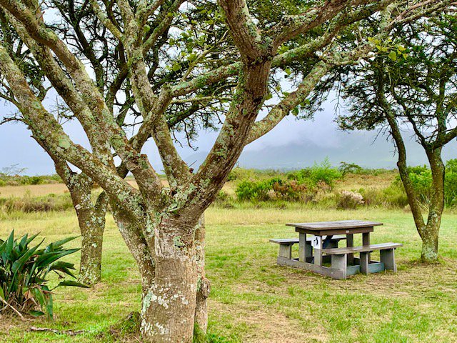 Friends of Van Stadens Wildflower Reserve