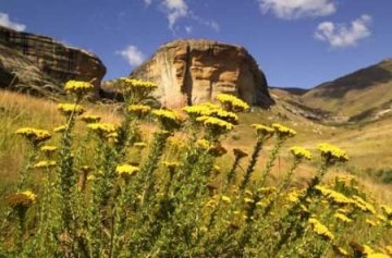 Golden Gate National Park