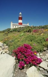 Agulhas National Park