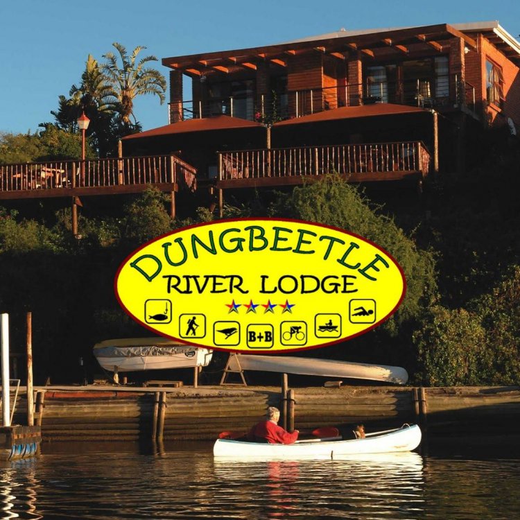 b_dungbeetle_river_lodge24.jpg