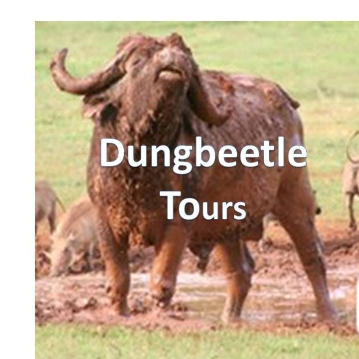 b_dungbeetle_tours_ta_addo_tours.jpg