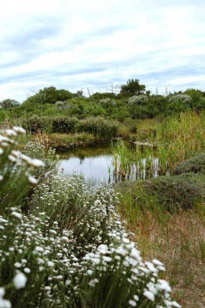 Grysbok Reserve and Hiking Trail