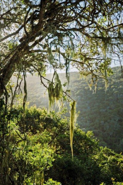 b_maitland_nature_reserve_trails.jpg