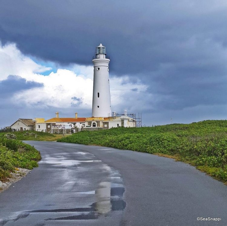 b_seal_point_lighthouse.jpg