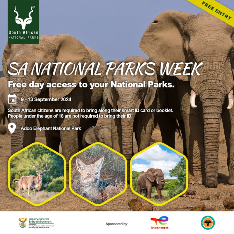 south_african_national_parks_week2.jpg