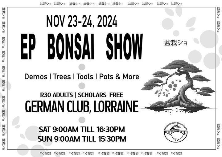 Annual Bonsai Show – 23 & 24 November 2024