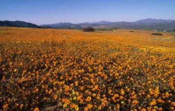 Namaqua National Park