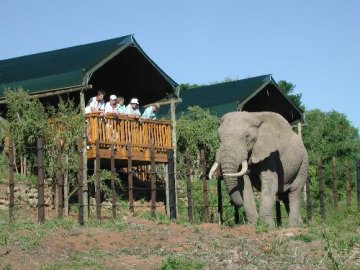 Addo Elephant National Park