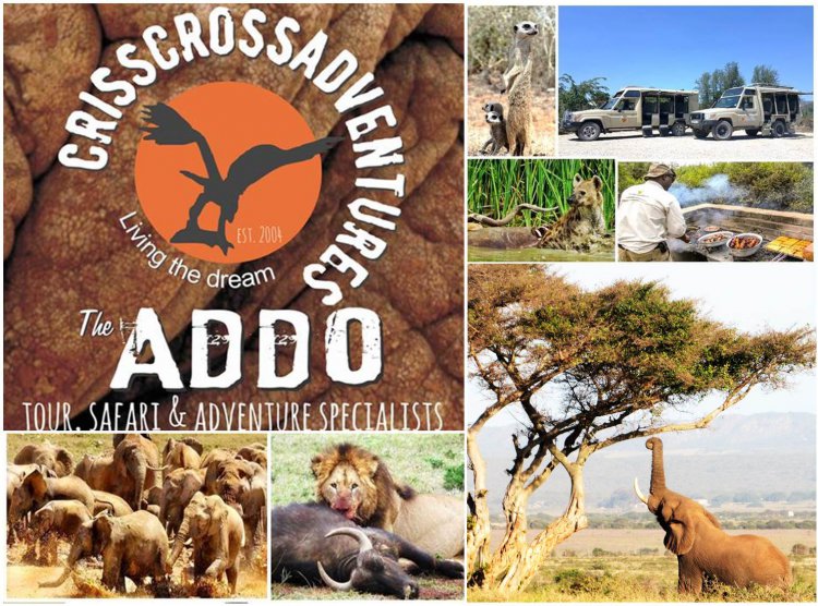 Crisscross Adventures – Addo