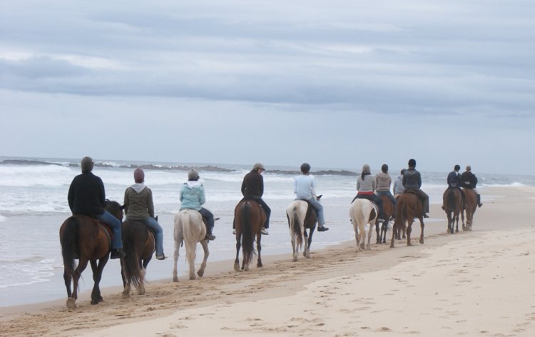 Heavenly Stables