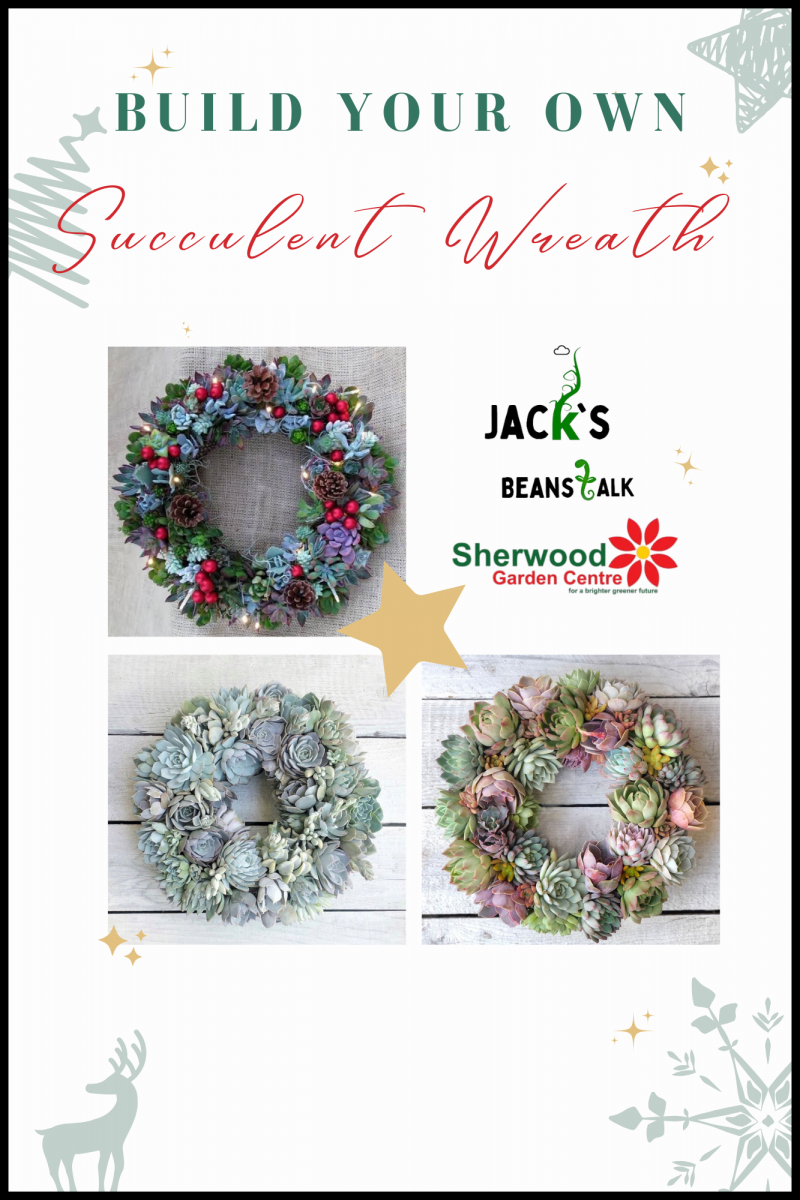 Build Your Own Succulent Christmas Wreath