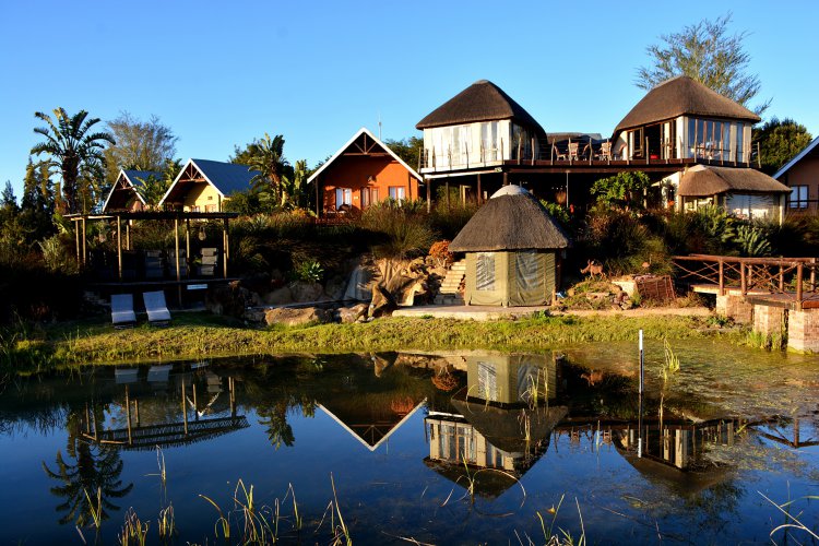 Addo Dung Beetle Guest Farm