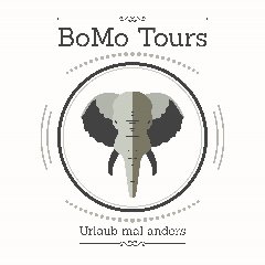 BoMo Tours and Charters