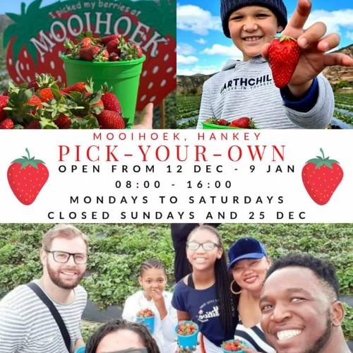 Mooihoek Strawberry Farm