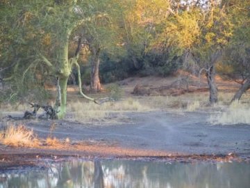 Mapungubwe National Park