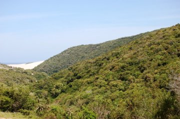 Maitland River Mouth