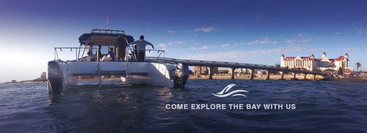 Stampede Cruises