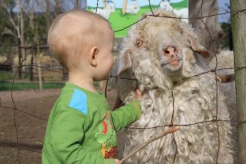 Holmeleigh Farmyard