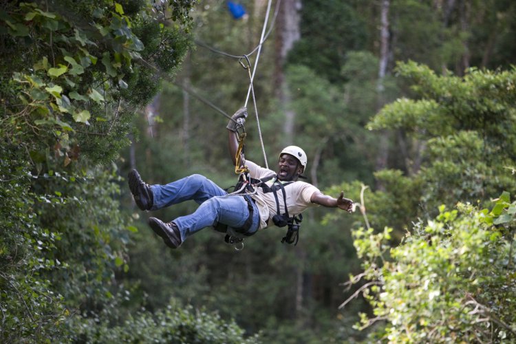 Tsitsikamma Canopy Tours