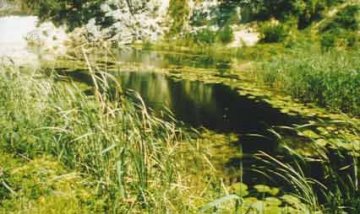 Maitland Nature Reserve